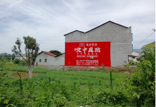 平果做墙体广告的意义