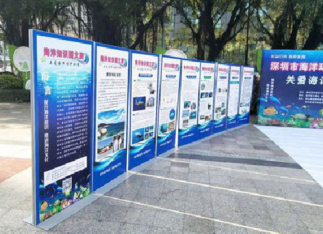 平果KT板的种类和知识。